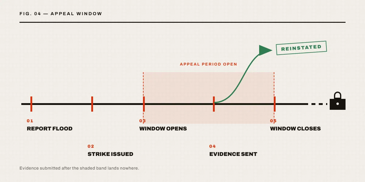 Timeline diagram of the TikTok appeal window, showing what happens after a TikTok mass report tool floods an account with reports.
